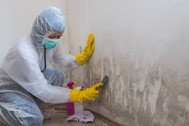 Mold Remediation for Vacation Homes in Oak Hills, CA